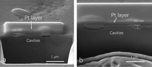 Figure 6. Cross-sectional view of H2 blisters near the surface region of the implanted polycrystalline tungsten.
