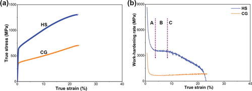 Figure 4. (a) True stress-strain curves of tensile tests of the HS and CG Fe29Ni29Co28Cu7Ti7 HEA, (b) Work-hardening response of the HS and CG Fe29Ni29Co28Cu7Ti7 HEA.