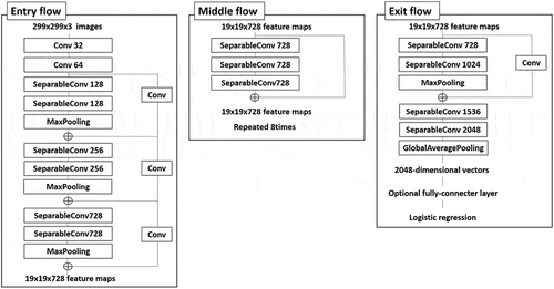 Figure 6. Architecture of the Xception model