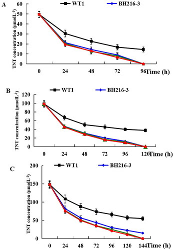 Figure 6. Transformation of TNT by wild-type and transgenic seedlings. Wild-type and transgenic seedlings were incubated with 50, 100 and 150 μmol L−1 TNT in MS liquid medium (a–c).