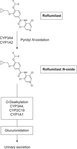 Figure 1 Structure of roflumilast and its metabolic inactivation.