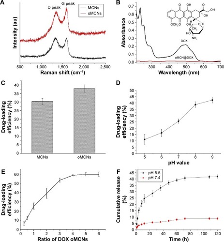 Figure 6 Drug loading and release process.Notes: (A) Raman spectra of MCNs before and after oxidation. (B) UV–Vis spectra of free DOX and oMCN@DOX; structure of DOX is insert. Comparison of drug-loading efficiency of (C) MCNs before and after modification, (D) different pH values of PBS, and (E) different weight ratios of DOX to oMCNs. (F) Release profile of oMCN@DOX@PEG against different pH values.Abbreviations: MCNs, mesoporous carbon nanospheres; UV–Vis, ultraviolet visible; DOX, doxorubicin; oMCN@DOX, doxorubicin-loaded oxidized mesoporous carbon nanospheres; pH, potential of hydrogen; PBS, phosphate buffer solution; oMCNs, oxidized mesoporous carbon nanospheres; oMCN@DOX@PEG, polyethylene glycol-modified doxorubicin-loaded oxidized mesoporous carbon nanospheres; au, arbitrary unit; h, hours.