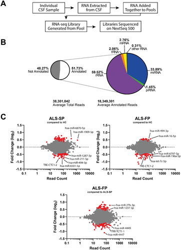 Figure 2. RNA-seq shows ncRNA may be dysregulated in CSF from ALS patients. (A) Workflow of the experiment from sample to sequencing data. (B) Summary of the number of aligned reads that were annotated and the ncRNA species they aligned to. (C) MA plots of ncRNA dysregulation in slow- (ALS-SP) and fast-progression (ALS-FP) ALS patients compared to healthy controls, and ALS-FP compared to ALS-SP. Dots in red were significantly dysregulated compared to healthy control (horizontal dotted line representing p < 0.05).