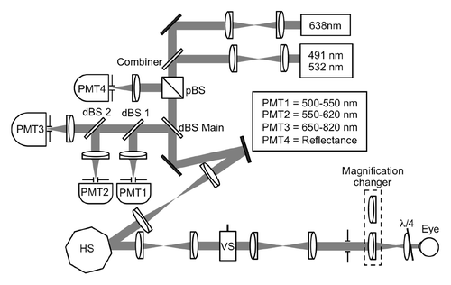 Figure 1. Schematic of the mouse SLO. Up to three channels of the reflectance channel and three fluorescence channels can be acquired simultaneously at video-rate to enable imaging of distinct cell populations. Each channel consists of a PMT protected by a confocal pinhole and a bandpass filter. dBS = dichroic beams splitter; pBS = polarizing beam splitter cube; HS = horizontal scanner (polygon); VS = vertical scanner (galvanometer)