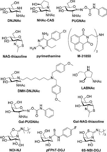 Figure 1. Structures of the HexA inhibitors DNJNAc, NHAc-CAS, PUGNAc, NAG-thiazoline, pymetahmine, M31850, DMH-DNJNAc, LABNAc, Gal-PUGNAc and Gal-NAG-thiazoline, and of the sp2-iminosugars NOI-NJ, pFPhT-DGJ and 6S-NBI-DGJ.