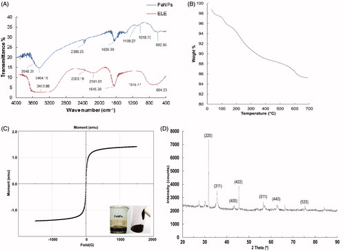 Figure 2. (A) Fourier-transform infrared spectroscopy [FT-IR; Fe3O4 nanoparticles (FeNPs) and aqueous extract of corn ear leaves (ELE)]; (B) Differential thermogravimetric (TG/DTG) spectra of Fe3O4 nanoparticles; (C) Vibrating sample magnetometer (VSM) graph of Fe3O4 nanoparticles (inset: indicates the magnetic properties of the synthesized Fe3O4 nanoparticles); and (D) X-ray diffraction (XRD) analysis of Fe3O4 nanoparticles.