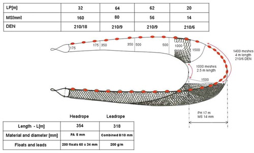 FIGURE 3. Schematic representation of the experimental surrounding net designed to replace the traditional Ligurian boat seine. LP[m]: length of the panels; MS[mm]: stretched mesh size; DEN: material density; L[m]: length of headrope and leadrope; PA: polyamide; PH: panel height.