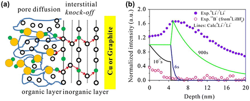 Figure 6. (a) Schematic drawing of pore diffusion in the porous organic layer of EEI and knock-off diffusion in the dense inorganic layer of EEI. The open circles represent the Li+ in the EEI. In the porous organic layer, the blue solid lines denote channels through which Li+ in the electrolyte (green filled circles) transports with anions (yellow filled circles) via pore diffusion. The red arrows denote that only Li+ can diffuse in the dense inorganic layer via the knock-off mechanism. (b) TOF-SIMS measured (by the isotope exchange experiment) depth profiles of 6Li+/7Li+ and 11B+ (symbols) for the EEI growing on a Cu substrate after 900 s soaking and calculated depth profiles of 6Li+/7Li+ (solid lines) after 10−7, 6, and 900 s soaking. Reproduced from [Citation80] with permission of 2012 American Chemical Society.