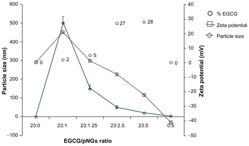 Figure 2 The characteristics of EGCG-pNG particles show the percentage of EGCG capped on pNGs (○), particle size (⋄), and zeta potential (□) at different ratios of EGCG:pNG (23:0, 23:1, 23:1.25, 23:2.5, 23:5, and 0:5).Abbreviations: EGCG, epigallocatechin-3-gallate; pNG, physical nanogold.