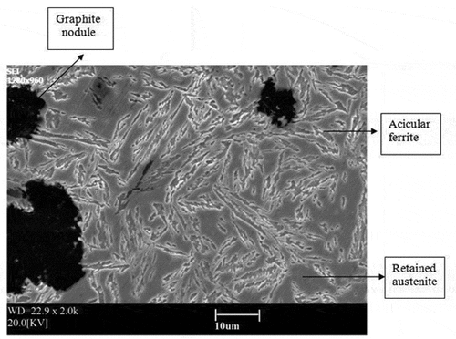 Figure 3. SEM images of ADI with 0.64-wt% Mn produced by modified austempering at austenization temperatures of 950 and 420 °C.