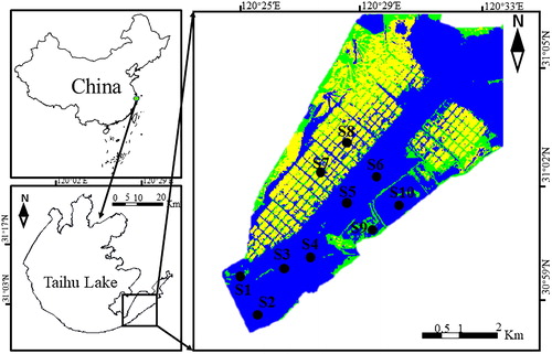 Figure 1. Sampling sites and location of East Taihu Lake. The picture above is a processed Landsat 8 remote sensing image. The blue color represents the water, and the yellow color represents the floating leaves or emergent macrophytes.