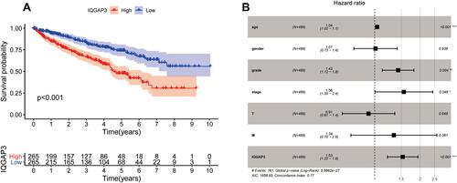 Figure 3 Survival analysis and Cox regression analysis (A) Kaplan–Meier survival analysis showed that patients of the high-IQGAP3 expression subgroup had a worse overall survival rate; (B) Independent prognostic factors identified by multivariate Cox regression analysis.