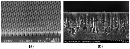 Figure 3. SEM image of a macro-porous Si sample (a) before (Ossicini, Pavesi, & Priolo, Citation2003) and (b) after deposition of LaF3.