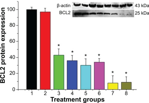 Figure 6 Western blot analysis showed the efficacy in suppressing BCL2 protein expression in MCF-7/Adr cells with different treatment groups (1, control; 2, naked siRNA; 3, HiPer-Fect/siRNA; 4, siPort NeoFX/siRNA; 5, HP-β-CD-PEI/siRNA; 6, HP-β-CD-PEI/DOX/siRNA; 7, FA-HP-β-CD-PEI/siRNA; 8, FA-HP-β-CD-PEI/DOX/siRNA).Notes: The purchased siRNA reagents (HiPerFect from Qiagen, siPort NeoFX from Invitrogen) were used as the positive control. A significant difference was observed between control and different treatment groups. Data shown here are the mean ± standard deviation of three independent experiments. Incubation, 72 hours; siRNA concentration, 100 nM. *P<0.05 (n=3).Abbreviations: siRNA, small interfering RNA; FA, folic acid; HP-β-CD, hydroxypropyl-β-cyclodextrin; PEI, polyethylenimine; DOX, doxorubicin.