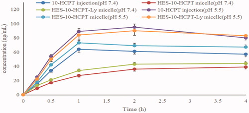 Figure 4. The cell drug concentration versus time curves of micelle and 10-HCPT injection.