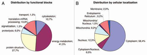Figure 3 Distribution of the identified proteins per functional blocks (A) and cellular origin (B). (References in Suppl. Table 2.)