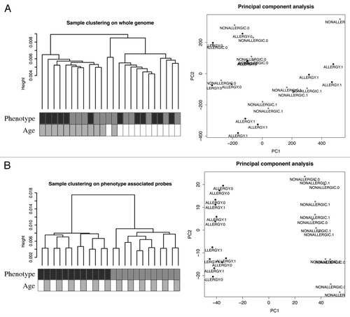 Figure 1. A subset of DNA methylation profiles of CD4+ cells distinguishes food allergy cases from controls. (A) Unsupervised hierarchical clustering of whole genome methylation data derived from ex vivo isolated CD4+ cells of food allergy cases (n = 12, labeled black) and non-allergic controls (n = 12, labeled gray) (left panel). Sample annotation is indicated by shaded boxes below the dendrogram. MDS analysis of the same methylation data fails to discriminate samples based on disease-status (right panel). (B) Unsupervised clustering of the same DNA methylation data based on phenotype-associated probes identified by ANOVA distinguishes disease-phenotypes (left panel). MDS analysis based on the filtered data successfully discriminates food allergy cases and controls. ALLERGY.1 = allergic 12 min, ALLERGY.0 = allergic birth.