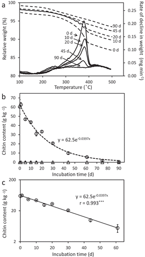 Figure 3. Thermogravimetric analysis of the soil incubated at 25°C after adding chitin. Alteration of relative weight (dashed lines) and rate of decline in weight (normal line) of the soil samples (A) and chitin contents determined based on the maximum rates of decline in weight (B). The logarithmic scale version of panel B is shown in (C). In panel A, days after the addition of chitin are indicated. In panels B and C, averages of triplicate measurements for the duplicate samples are plotted. Error bars indicate standard deviations of total six measurements. The result of exponential approximation is shown with the formula and correlation coefficient in panel C. The dotted line in panel B has drawn according to the approximation formula obtained in C. ***p < 0.001.