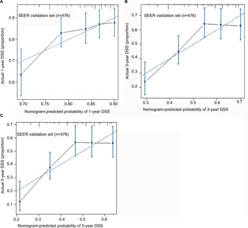 Figure 3 Calibration plot for predicting patients’ DSS at 1 year (A), 3 years (B), and 5 years (C) in the validation set.Notes: The X-axis represents the predicted survival of nomogram, and on the Y-axis is plotted actual survival. The dotted line represents the ideal correlationship between predicted and actual survival.Abbreviations: DSS, disease-specific survival; SEER, Surveillance, Epidemiology, and End Results.