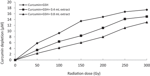 Figure 3. Graphical representation of curcumin protection by 60% methanol extract of Z. kangleipakense (i.e. 0.4 mL = 8 mg/mL and 0.8 mL = 16 mg/mL concentration) against thiyl free radical attack.