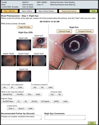 Figure 1 Computer screenshot of the interface of a telemedicine software.