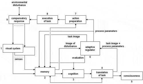Figure 1. Functional block diagram of the processes involved in adaptation and consciousness during an environmental disturbance. The arrows indicate the interactions between the functions