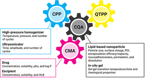 Figure 9 Illustration of the quality by design (QbD) framework for the development of lipid-based nanoparticle and in-situ gel systems. QbD has the potential to facilitate the development of effective nose-to-brain delivery systems. The components of QbD, such as critical process parameters (CPP), critical material attributes (CMA), critical quality attributes (CQA), and the quality target product profile (QTPP), interact and influence each other, providing feedback within the design space. The representative parameters of CPP, CMA, and CQA are listed.