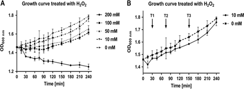 Fig. 1 Growth curves for Mycobacterium smegmatis cultures treated with various H2O2 concentrations at mid-log phase.a The growth of M. smegmatis cultures as measured by absorbance at 600 nm when treated with increasing concentration of H2O2. Concentrations of 0–200 mM are represented. After treatment with 10 mM H2O2 cultures showed a slight growth defect, however growth recovered. Cultures treated with 50 mM and 100 mM H2O2 showed a larger growth defect when compared with cultures treated with 10 mM H2O2, and recovered growth much later. Cultures treated with 200 mM H2O2, showed an irreparable growth defect, suggesting in these conditions 200 mM H2O2 is lethal. b Arrows indicate the time points selected for further analysis at when treated with 10 mM H2O2