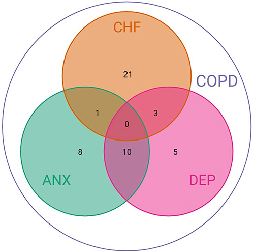 Figure 3 Venn diagram showing numbers of patients according to baseline (combinations of) comorbidities (N = 48).