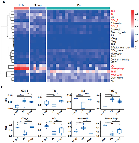 Figure 2 Immune cell signatures in Ps, T-lep, and L-lep.