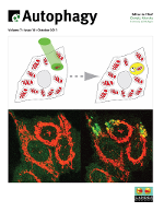 Cover image for Autophagy, Volume 7, Issue 10, 2011