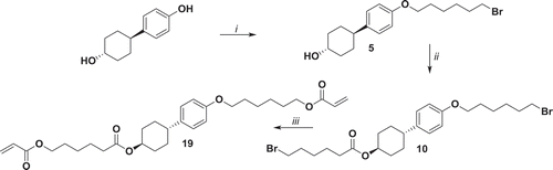 Figure 6. Synthesis of 19. i: K2CO3, KI, 1,6-dibromohexane, EtOH, reflux 48 h; ii: 6-bromohexanoyl chloride, NEt3, THF, 0°C 1 h, r.t. 16 h; iii: potassium acrylate, KI, DMSO, 52°C 72 h