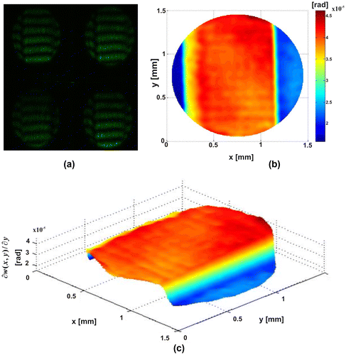 Figure 8. Thin film. (a) Four π/2-shifted interferograms captured in a single shot. (b)–(c) Slope.