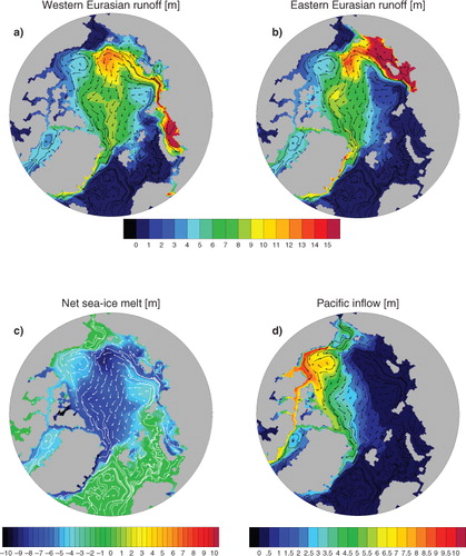 Fig. 5 Mean (1968–2011) passive tracer heights in m integrated over the top 256m and currents averaged over 0–256 m. For (a) the Western Eurasian runoff (the Barents and Kara seas), (b) Eastern Eurasian runoff (the Laptev and East Siberian seas), (c) net sea-ice melt (NSIM) and (d) Pacific water.