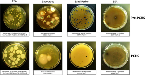 Figure 2 CFU counting on RODAC plates obtained after appropriate incubation. Representative pictures of the results obtained at T0 (pre-PCHS period) and at T1 (2 weeks after PCHS implementation), on PCA (Plate Count Agar; total count), Sabouraud agar (mycetes), Baird–Parker agar (Staphylococcus spp.), and BEA (Bile Esculin Agar, Enterococcus spp.). The number of CFU/plate and the correspondent number of CFU/m2 are indicated.