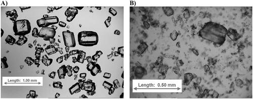 Figure 2. Light microscopy images of piracetam substance before (A) and after milling (B).