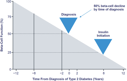Figure 1. Beta-cell modeling suggests that insulin is required approximately 8 years after diagnosis. Used with permission of American Diabetes Association, from insulin secretagogues: old and new, Lebovitz HE, 7, 1999; permission conveyed through copyright clearance center.