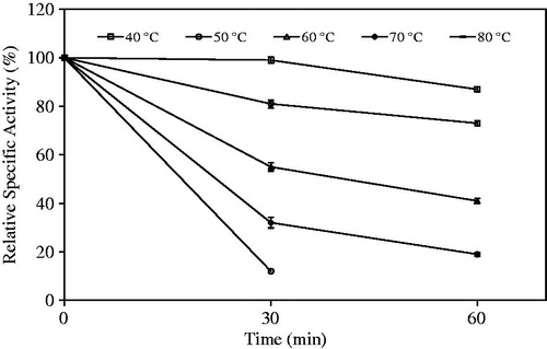 Figure 10. Thermal stability of immobilized laurel lipase.