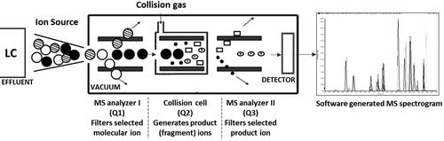 Figure 1. Principle of triple quadrupole tandem mass spectrometry (LC-MS/MS) after Kobold [Citation8], with modifications.