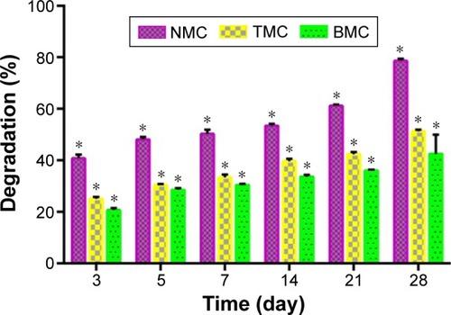 Figure 7 Degradation of NMC, TMC, and BMC scaffolds in vitro.Notes: Error bars represent mean ± SD for n=3. The difference in degradation among three subgroups is statistically significant (*P<0.05 vs other groups; n=3).Abbreviations: BMC, biomimetic mineralized collagen; NMC, non-mineralized collagen; TMC, traditional mineralized collagen; SD, standard deviation.