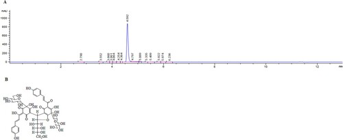 Figure 1. HPLC analysis and Chemical structure of AHSYB. (A) HPLC analysis of AHSYB. The absorbance was measured at 412 nm. The 4.592 min peak is AHSYB. The purity of AHSYB was 97.9%. (B) Chemical structure of AHSYB.