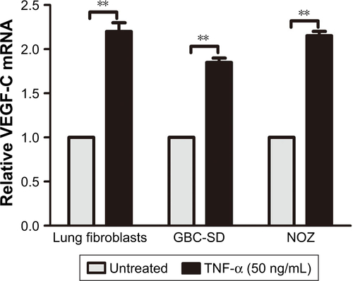 Figure S1 TNF-α could promote the expression of VEGF-C mRNA in GBC cells, just as in human lung fibroblasts.