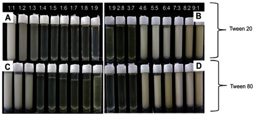 Figure 1 Images of formulations from 1:1 to 1:9 and 1:9 to 9:1, respectively, of the nanoscale emulsion of clove bud oil in Tween 20 and Tween 80 surfactant.