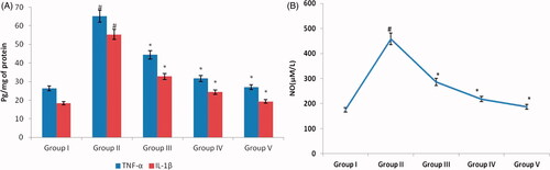 Figure 6. Nephroprotective effect of silver nanoparticles synthesized from Alpinia officinarum (lesser galangal) traditional Chinese medicinal plant (AG-AO) against cytokines TNFα, IL1β (A) and nitric oxide (B). The levels of TNFα, IL1β in kidney tissue of control and experimental rats were measured using commercially available ELISA kit. The levels of nitric oxide measured using colorimetric assay kit. The colour intensity developed was measured using ELISA plate reader and the values are illustrated in the figure. The values depicted in the figure are the mean ± SD of six rats in each group. *p ≤ .05, #p ≤ .01 considered to be statistically significant.