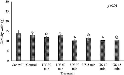 Figure 2. Curd dry weight using rennet treated by ultraviolet radiation (UV) or ultrasound (US) radiation. Control + = commercial rennet, control − = untreated rennet. Values with different letter are different (p < 0.05).