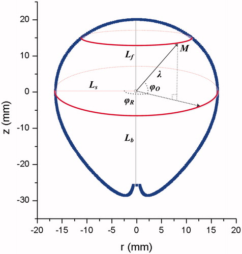 Figure 2. The schematic view of characteristic lengths. Lf is the forward long-axis length, Lb is the backward long-axis length, Ls is the short-axis radius, φR is the rotation polar-angle, φO is the offset polar-angle, and λ is the polar radius. The origin is disposed at the MW emission point. The blue line indicates the thermal coagulation zone.