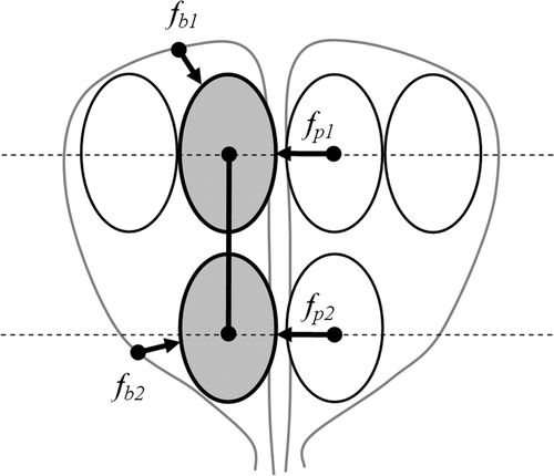 Figure 3. Schematic illustration of forces acting on a pair of bubbles.