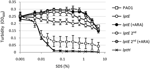 Figure 2. Effect of LptE depletion on cell envelope stability. Lytic effect of different SDS concentrations (0–5%), measured as decrease in cell suspension turbidity (OD600), on PAO1 and lptE conditional mutant cells grown in the presence and/or absence of 0.5% arabinose (ARA), corresponding to the first (lptE) or second refresh (lptE 2nd) described in the legend of Figure 1. As control, LptH-deficient cells (lptH), obtained through the culturing strategy described in Fig. S6, were included in the analysis. Values are the mean (±SD) of three independent experiments performed in duplicate.