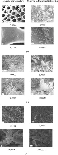 Figure 3. Microstructure of protective materials and the interaction between concrete and the materials: (a) Fluoropolymer, (b) Silicate Resin and (c) Sodium Acetate Crystallising material.