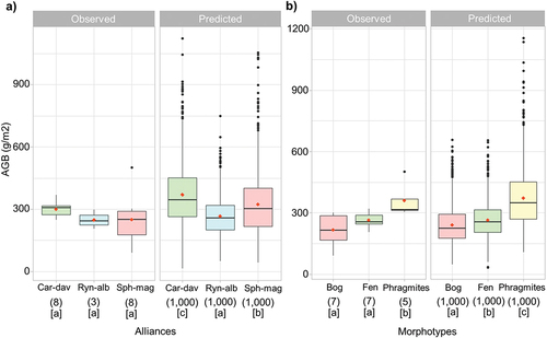 Figure 7. Comparison between the observed AGB in the field and the AGB estimated by the multiparametric linear model, grouped by vegetation type. Red dots indicate the average value. Round brackets indicate the sample size. In square brackets, the outcome of the Kruskal-Wallis test is summarized (different letters indicate significant differences; threshold: p < 0.05).